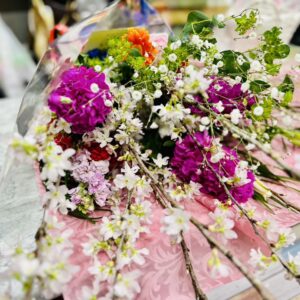 豪華な割引きのお知らせ＼(^o^)／