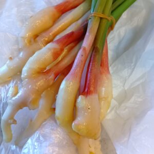豪華な割引きのお知らせ＼(^o^)／