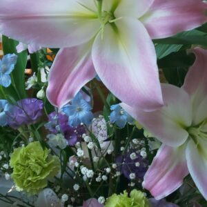 豪華な割引きのお知らせ＼(^o^)／