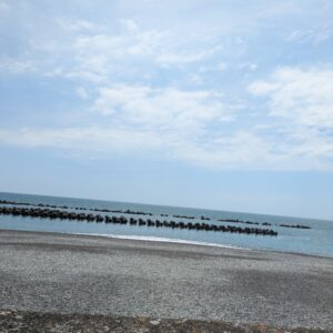 夏は海