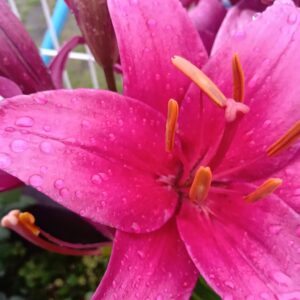 豪華な割引きのお知らせ＼(^o^)／