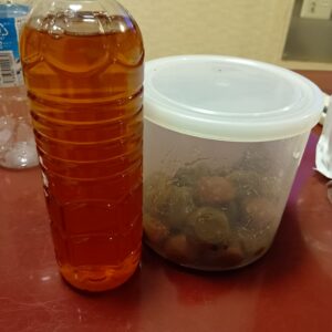 豪華な割引きのお知らせ＼(^o^)／