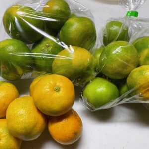 次回の出勤予定は11日(土)です（๑ ᷇ 𖥦 ᷆๑)♡