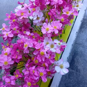 豪華な割り引きのお知らせ