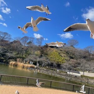 𖢔𖡺꙳𐂂～冬至～𐂂꙳𖡺𖢔