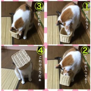 ありがとうございました(⁎ᴗ͈ˬᴗ͈⁎)