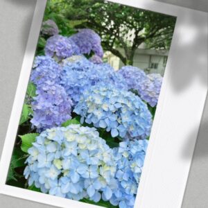 6/1ありがとうございました