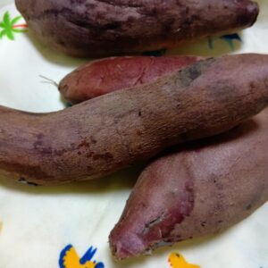 お得な割り引きのお知らせ
